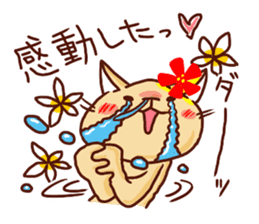 the pad of cat @ hawaii sticker #713086