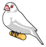 Java sparrow's sticker sticker #713914