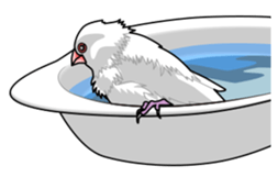 Java sparrow's sticker sticker #713924