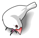 Java sparrow's sticker sticker #713928