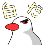 Java sparrow's sticker sticker #713931