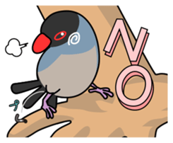 Java sparrow's sticker sticker #713945