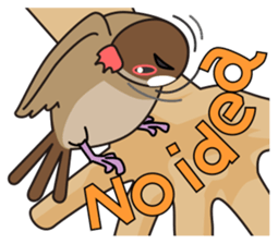 Java sparrow's sticker sticker #713946