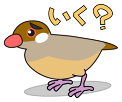 Java sparrow's sticker sticker #713949