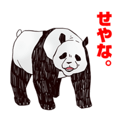 Part time Panda. Kiyoshi sticker #714764
