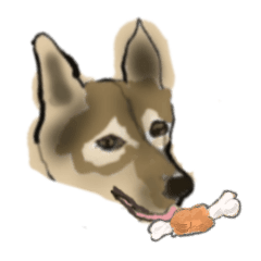 A week of mongrel dog HAPPY