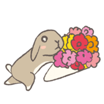 Holland rop ear rabbit Moco 2 sticker #716243