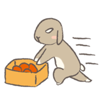 Holland rop ear rabbit Moco 2 sticker #716244