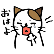 nyanske5 sticker #716432