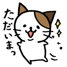 nyanske5 sticker #716438