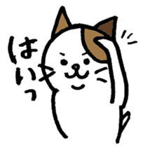 nyanske5 sticker #716453