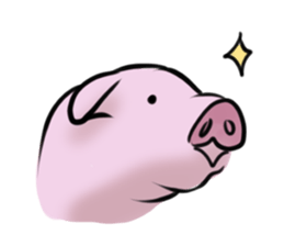 Stickers of cute pig sticker #717367