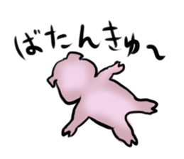 Stickers of cute pig sticker #717374