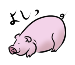 Stickers of cute pig sticker #717379