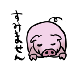 Stickers of cute pig sticker #717382