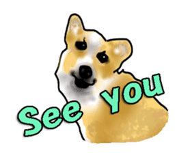 Ben and Hovey sticker #718230