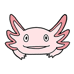 axolotl/Mexico salamandar