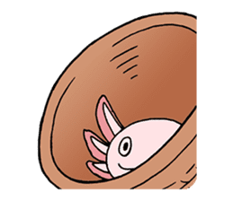 axolotl/Mexico salamandar sticker #718711