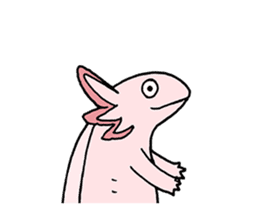 axolotl/Mexico salamandar sticker #718716