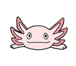 axolotl/Mexico salamandar sticker #718718