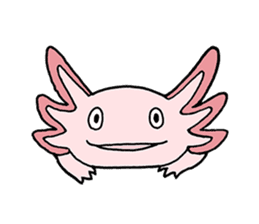 axolotl/Mexico salamandar sticker #718719