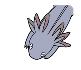 axolotl/Mexico salamandar sticker #718720