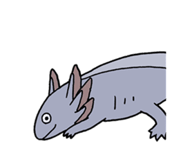 axolotl/Mexico salamandar sticker #718721