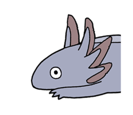 axolotl/Mexico salamandar sticker #718723