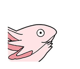 axolotl/Mexico salamandar sticker #718724
