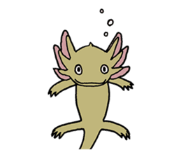 axolotl/Mexico salamandar sticker #718726