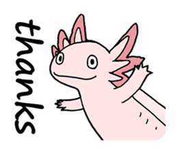 axolotl/Mexico salamandar sticker #718728