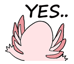 axolotl/Mexico salamandar sticker #718729