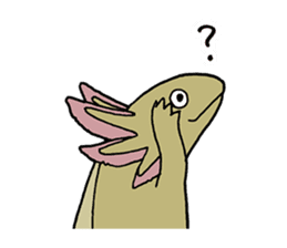 axolotl/Mexico salamandar sticker #718734