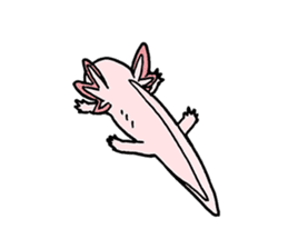 axolotl/Mexico salamandar sticker #718736