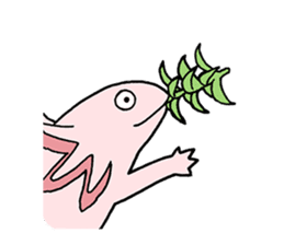 axolotl/Mexico salamandar sticker #718737