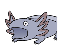 axolotl/Mexico salamandar sticker #718738