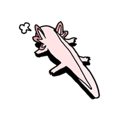 axolotl/Mexico salamandar sticker #718746