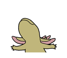axolotl/Mexico salamandar sticker #718747