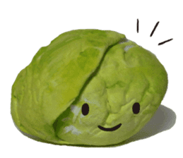 It's a cabbage!  (English ver.) sticker #720234