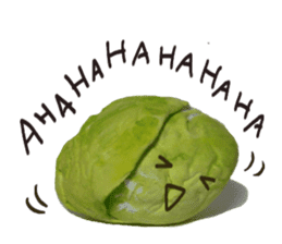 It's a cabbage!  (English ver.) sticker #720237