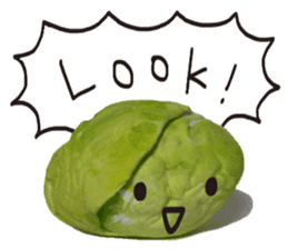 It's a cabbage!  (English ver.) sticker #720241