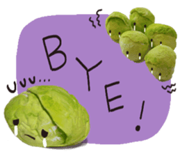 It's a cabbage!  (English ver.) sticker #720246
