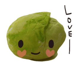 It's a cabbage!  (English ver.) sticker #720248