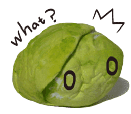 It's a cabbage!  (English ver.) sticker #720249