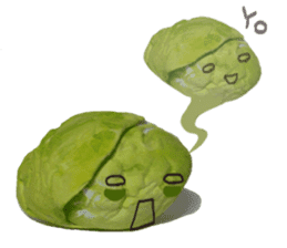 It's a cabbage!  (English ver.) sticker #720266