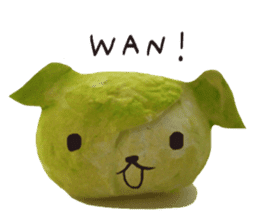 It's a cabbage!  (English ver.) sticker #720268