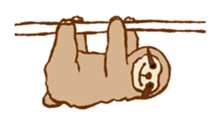 Lazy animals! sticker #720808