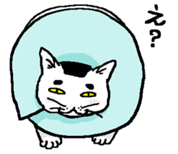 Ugly & Fat cats sticker #721768
