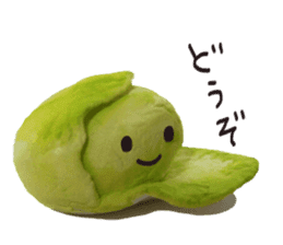 It's a cabbage! sticker #722595