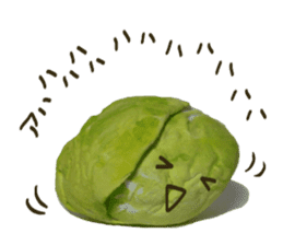 It's a cabbage! sticker #722597